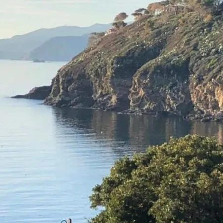 Rosa Dei Venti Capoliveri (Isola d'Elba)