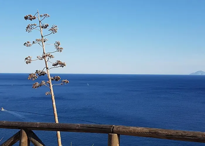 Апартаменты Rosa Dei Venti Est