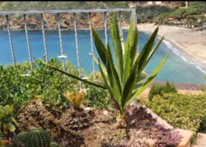 Апартаменты Rosa Dei Venti Est *