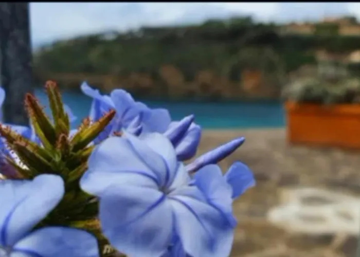 Rosa Dei Venti Est Каполивери