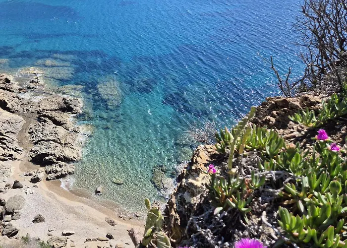 Rosa Dei Venti Est *