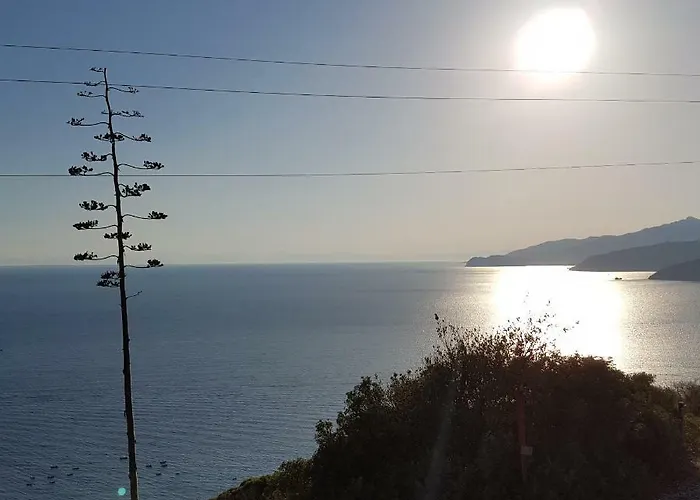 Rosa Dei Venti Est * Каполивери